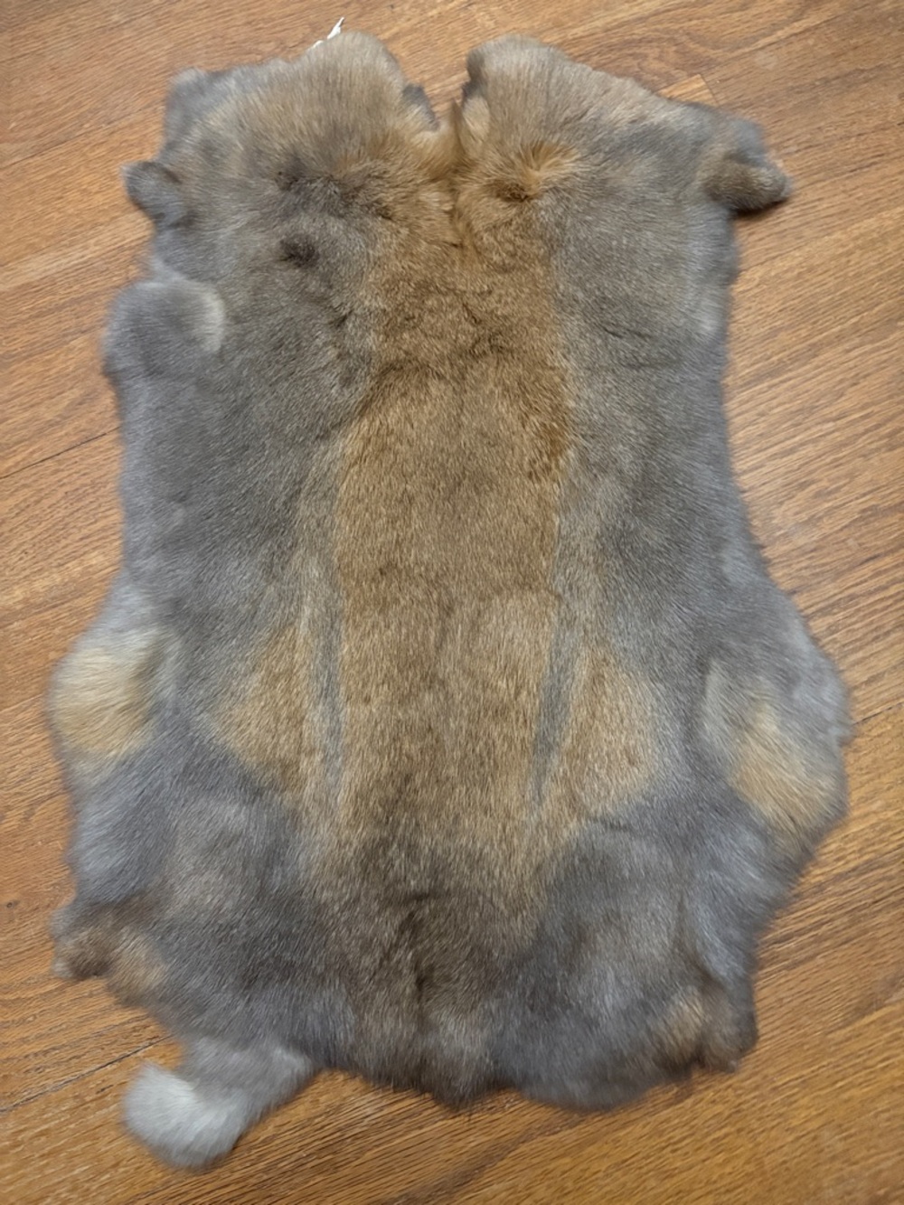 #0117 rabbit pelt large
